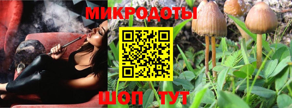 где продают   Псилоцибиновые грибы Cubensis  Вход с VPN  Троицк 